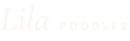 Lila Poodles — home