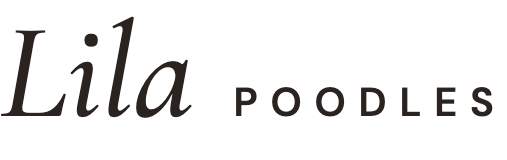 Lila Poodles